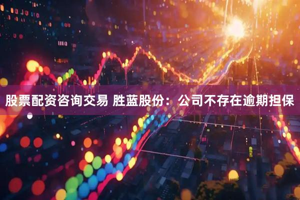 股票配资咨询交易 胜蓝股份：公司不存在逾期担保