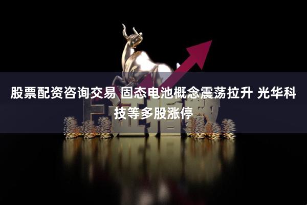 股票配资咨询交易 固态电池概念震荡拉升 光华科技等多股涨停