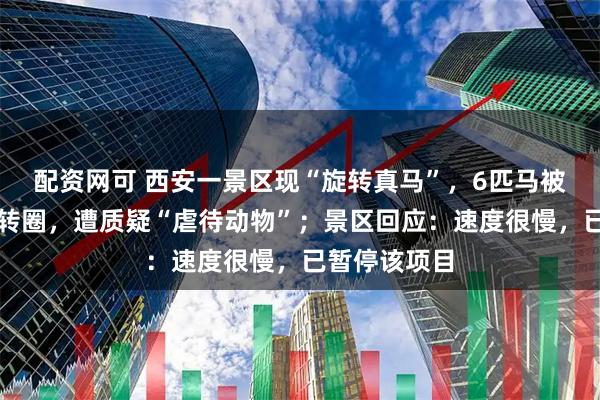 配资网可 西安一景区现“旋转真马”，6匹马被固定并反复转圈，遭质疑“虐待动物”；景区回应：速度很慢，已暂停该项目