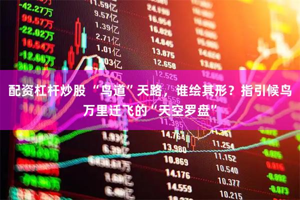 配资杠杆炒股 “鸟道”天路，谁绘其形？指引候鸟万里迁飞的“天空罗盘”
